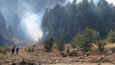 KASTAMONU (AA) – Kastamonu'nun Taşköprü ilçesinde çıkan orman yangını kontrol