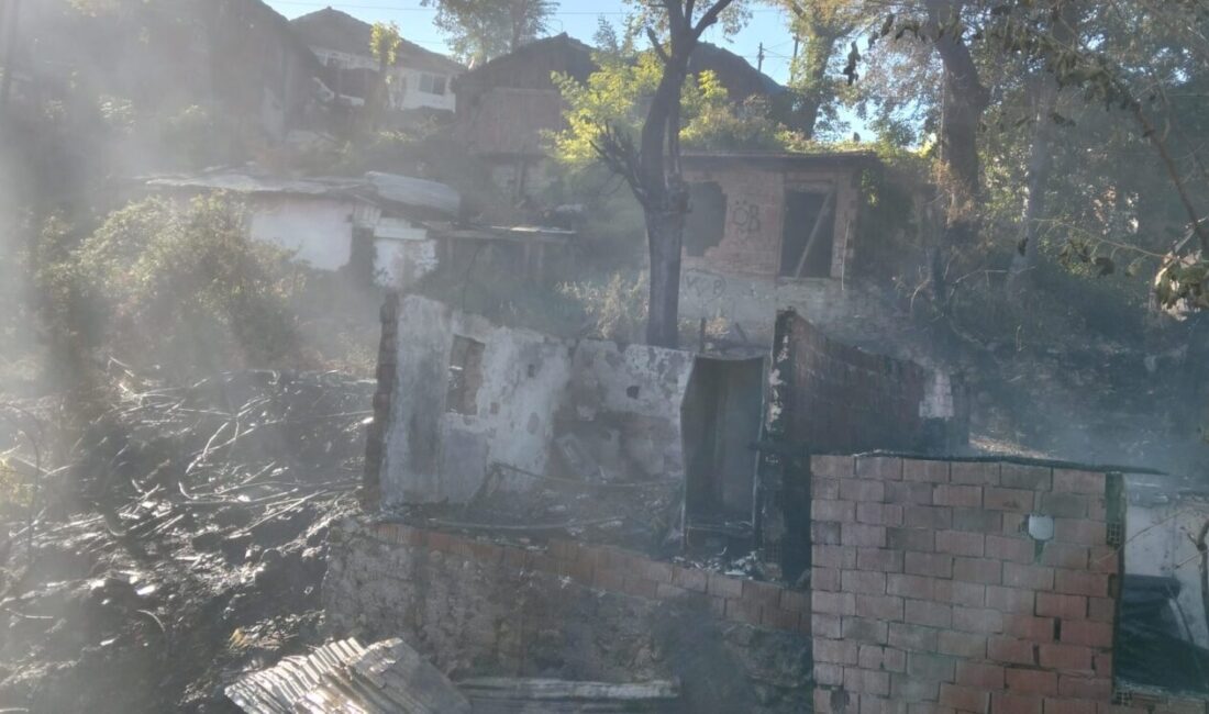 KASTAMONU (AA) – Kastamonu'nun Araç ilçesinde çıkan yangında 2 ev