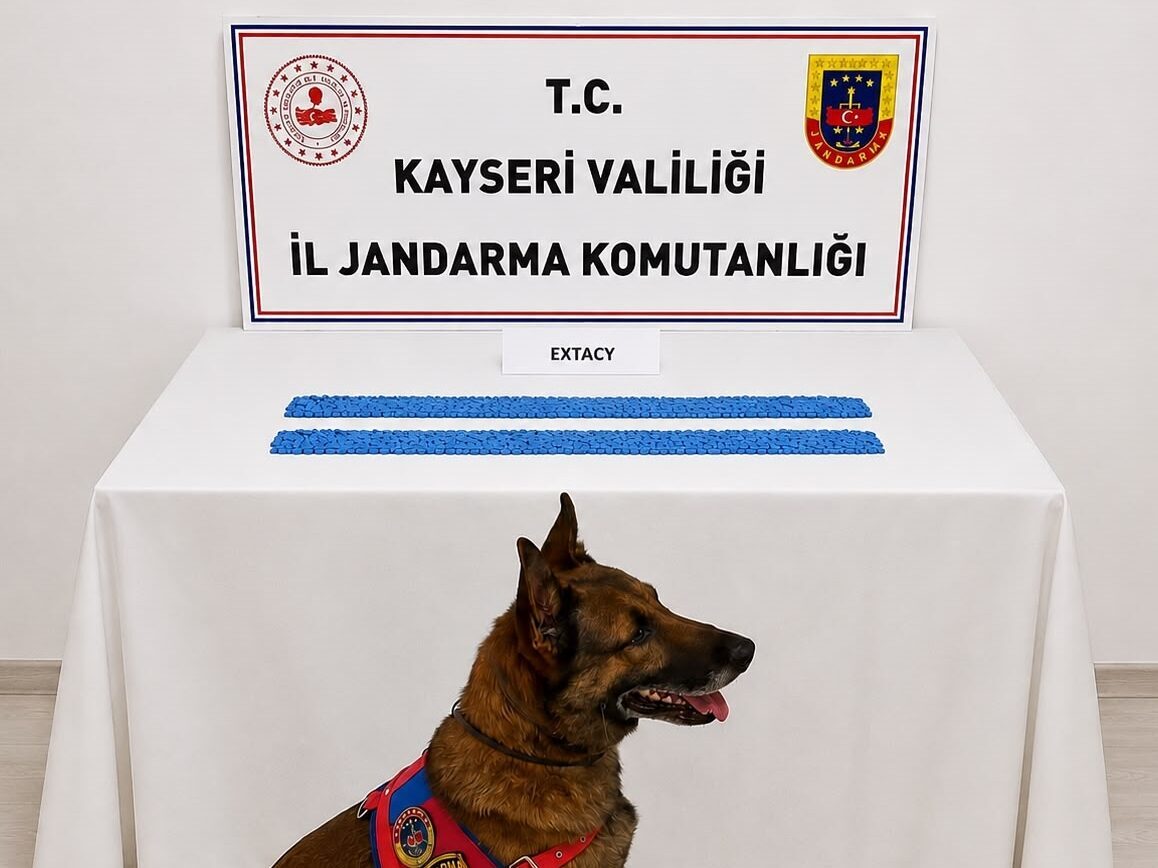KAYSERİ (AA) – Kayseri'nin İncesu ilçesinde jandarma tarafından düzenlenen operasyonda