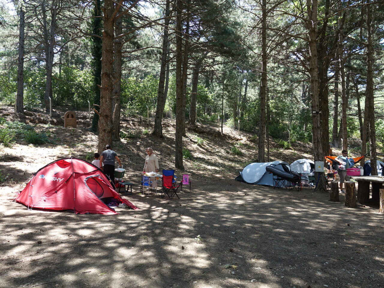 BALIKESİR (AA) – Balıkesir'in Edremit ilçesindeki Kazdağları Milli Parkı'nda, Doğa