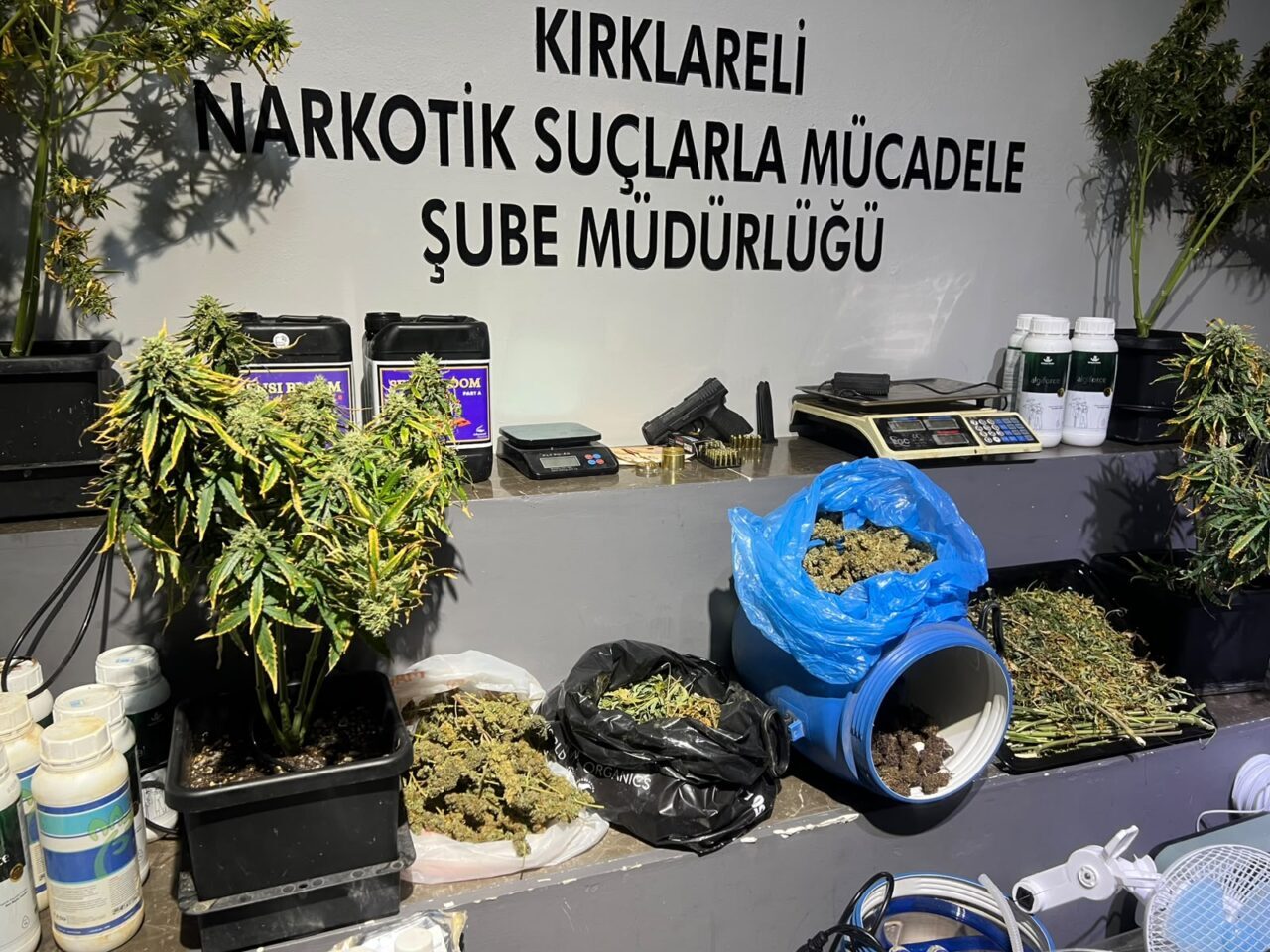 KIRKLARELİ (AA) – Kırklareli'nde uyuşturucu operasyonunda gözaltına alınan 2 şüpheli