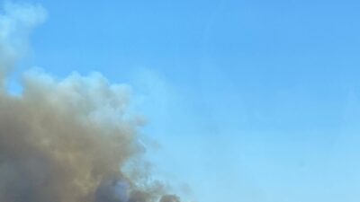 KOCAELİ (AA) – Kocaeli'de ormanlık alanda çıkan yangın karadan ve