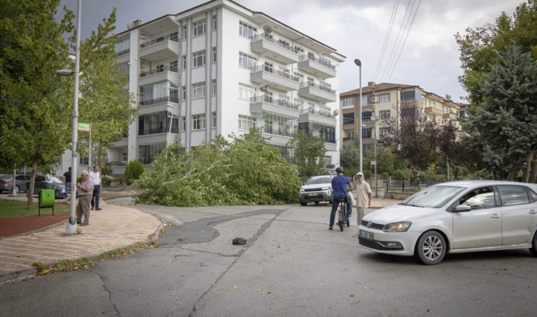 MALATYA (AA) – Malatya'da sağanak ve şiddetli rüzgar hayatı olumsuz