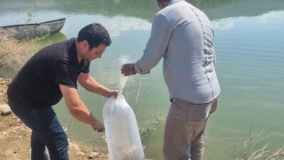 MANİSA (AA) – Tarım ve Orman Bakanlığınca yürütülen "Su Kaynaklarının