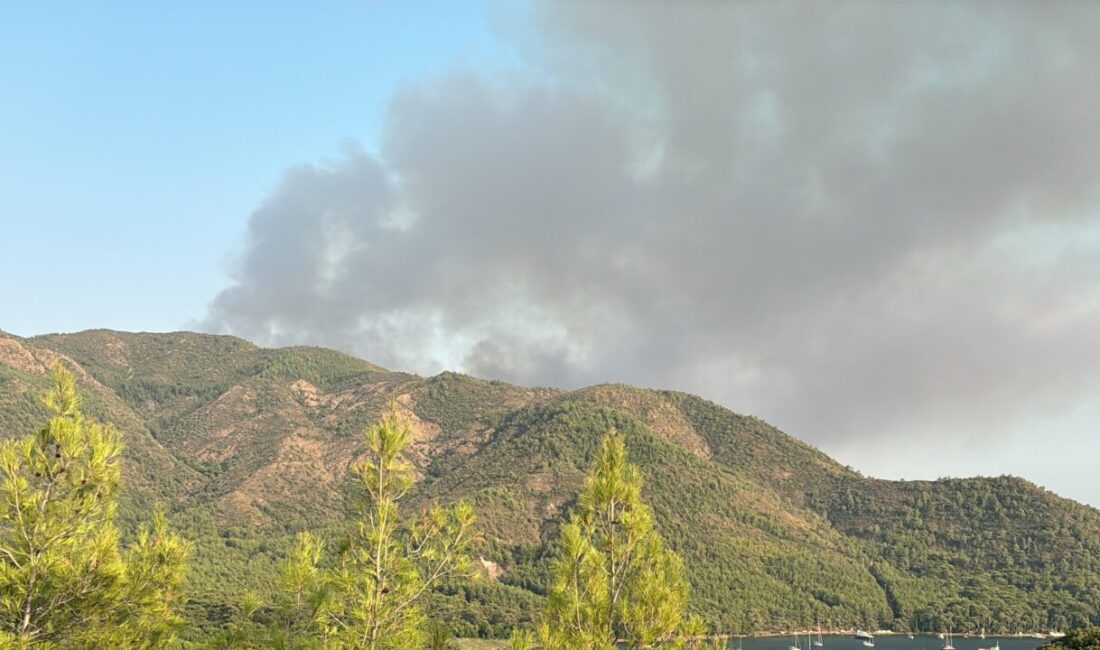 MUĞLA (AA) – Muğla'nın Marmaris ilçesinde çıkan orman yangınına müdahale