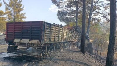- Kazada alev alan odun yüklü tırdan ormanlık alana sıçrayan