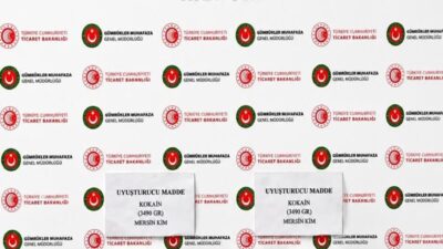 MERSİN (AA) – Mersin'de gemideki konteynerin soğutucu motor kısmında 3