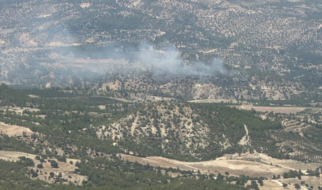 MERSİN (AA) – Mersin'in Mut ilçesinde çıkan orman yangını havadan