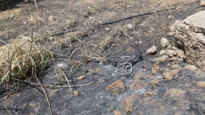 MUĞLA (AA) – Muğla'nın Seydikemer ilçesindeki orman yangınında bisikleti zarar