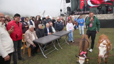 - 2 bin 640 rakımlı yayladaki şenlikte "inek ve buzağı