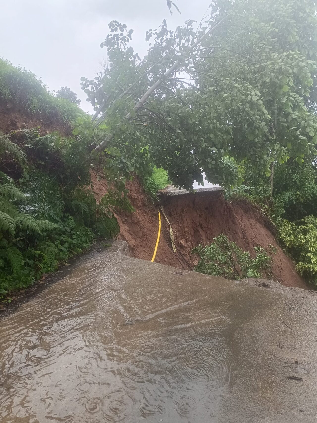 RİZE (AA) – Rize'nin Çayeli ilçesinde sağanak sonrası evlerinde mahsur