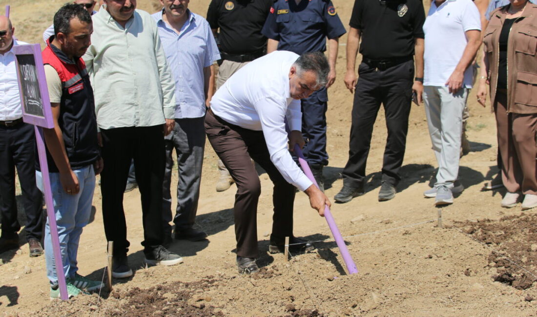 KARABÜK (AA) – Karabük'ün Safranbolu ilçesinde Avrupa Birliği'nden (AB) coğrafi