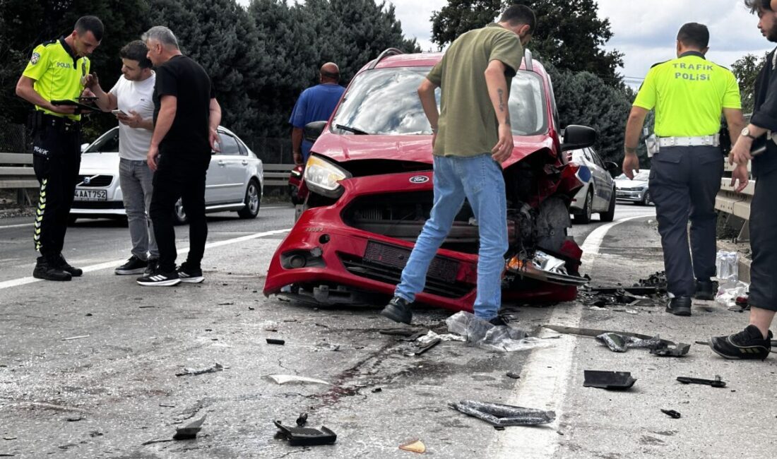 SAKARYA (AA) – Sakarya'nın Sapanca ilçesinde otomobil ile hafif ticari
