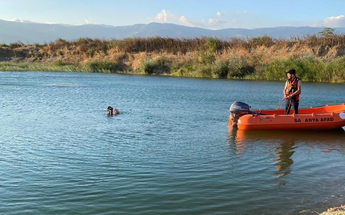 SAKARYA (AA) – Sakarya'nın Pamukova ilçesinde serinlemek için Sakarya Nehri