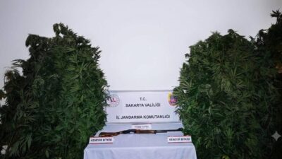 SAKARYA (AA) – Sakarya'da düzenlenen uyuşturucu operasyonlarında gözaltına alınan 3