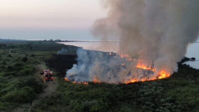 SAMSUN (AA) – Samsun'un Bafra ilçesinde, Kızılırmak Deltası Kuş Cenneti'ndeki