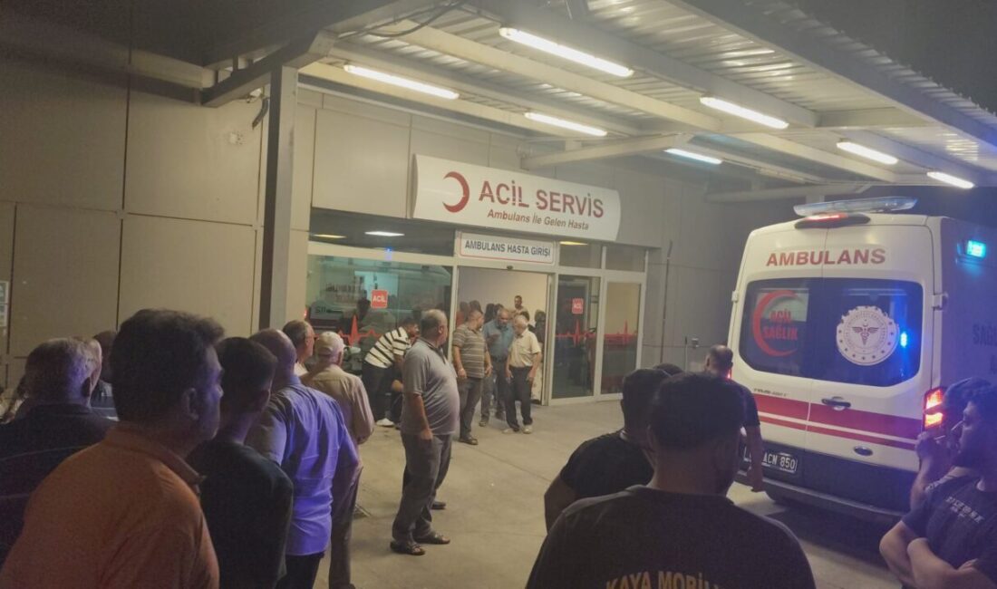 ŞANLIURFA (AA) – Şanlıurfa'nın Birecik ilçesinde iki otomobilin çarpışması sonucu