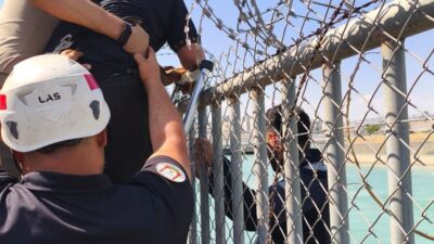 ŞANLIURFA (AA) – Şanlıurfa'nın Haliliye ilçesinde serinlemek için girdikleri sulama