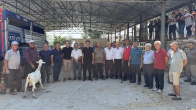 MUĞLA (AA) – Muğla’nın Seydikemer ilçesindeki orman yangınlarında hayvanları telef