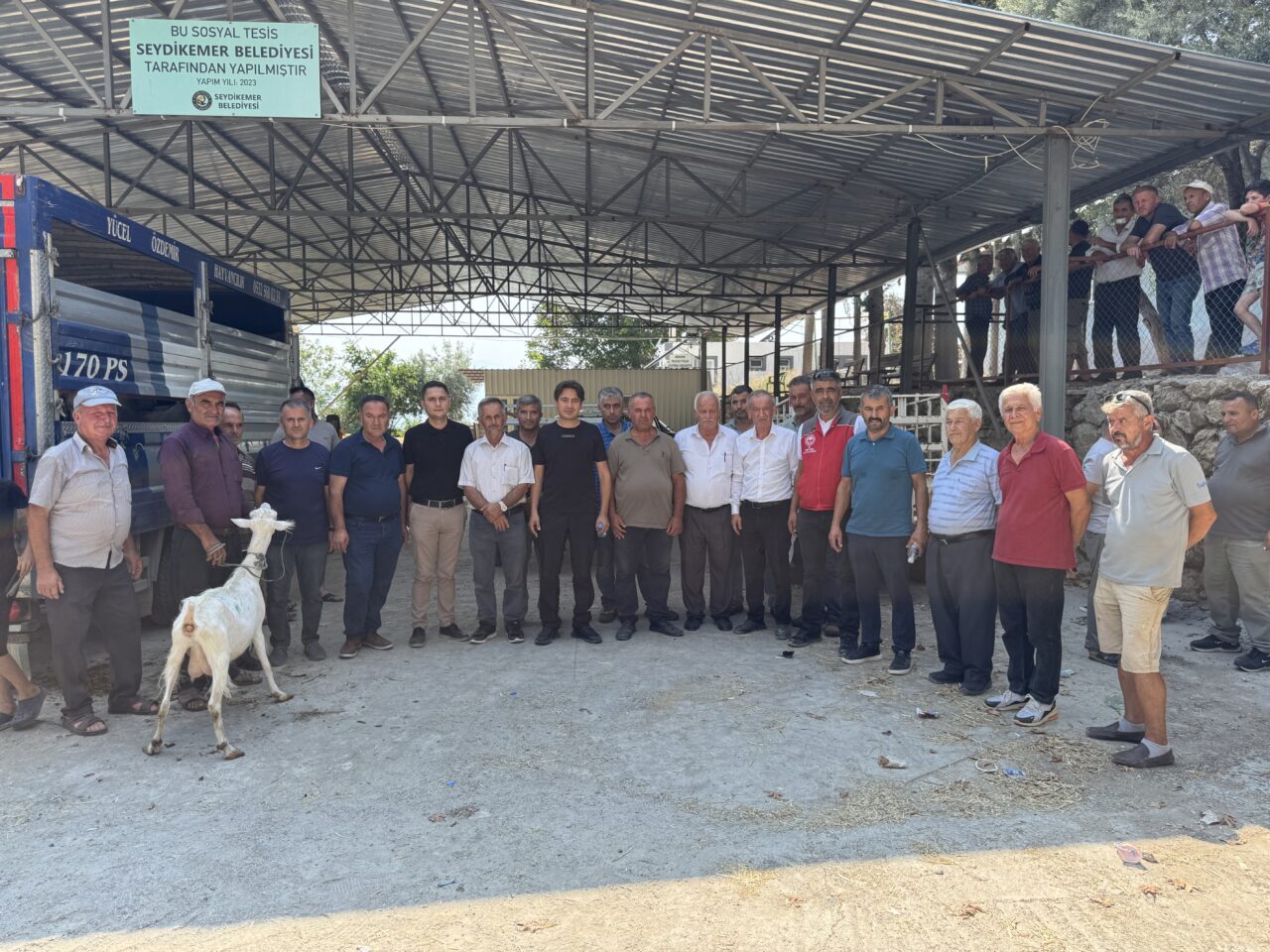 MUĞLA (AA) – Muğla’nın Seydikemer ilçesindeki orman yangınlarında hayvanları telef