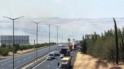 İSTANBUL (AA) – Silivri'de yerleşim alanına yakın noktadaki otluk ve