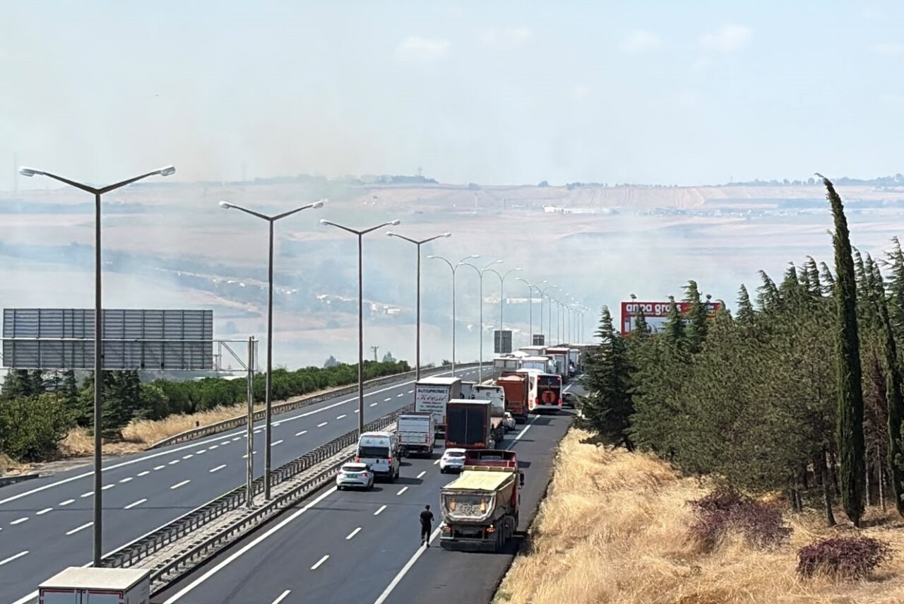 İSTANBUL (AA) – Silivri'de yerleşim alanına yakın noktadaki otluk ve