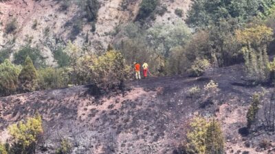 SİNOP (AA) – Sinop'un Boyabat ilçesinde ormanlık alanda çıkan yangın