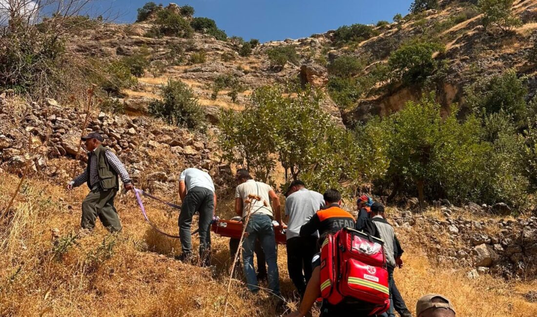 ŞIRNAK (AA) – Şırnak'ın Güçlükonak ilçesinde ağaçtan düşen kişi ağır