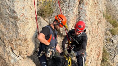 ŞIRNAK (AA) – Şırnak'ın Beytüşşebap ilçesinde kayalıklarda mahsur kalan 4