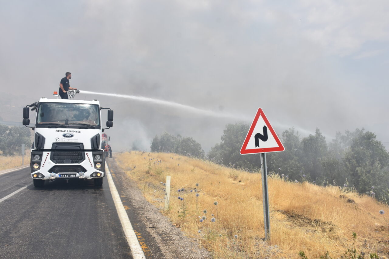 ŞIRNAK (AA) – Şırnak'ta otluk bölgede çıkan yangın ormanlık alana