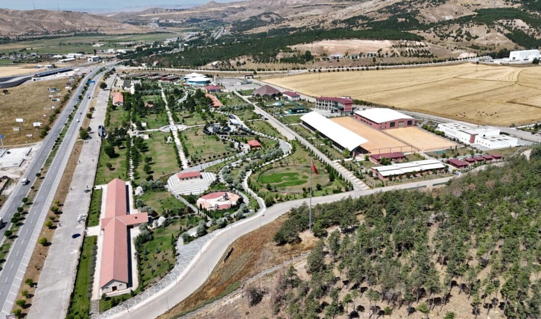 SİVAS (AA) – Sivas'ta yapımı tamamlanmayan ikiz binalar, Nuri Demirağ