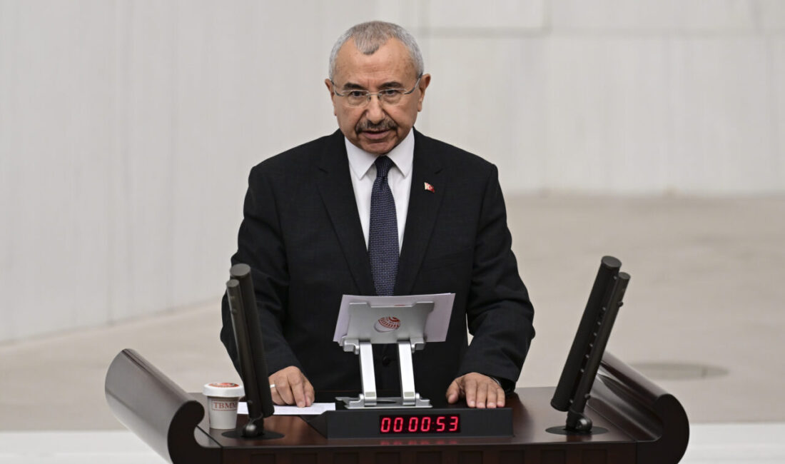 - AK Parti Grup Başkanvekili Özlem Zengin:
- "(Mekke Ortak Savunma