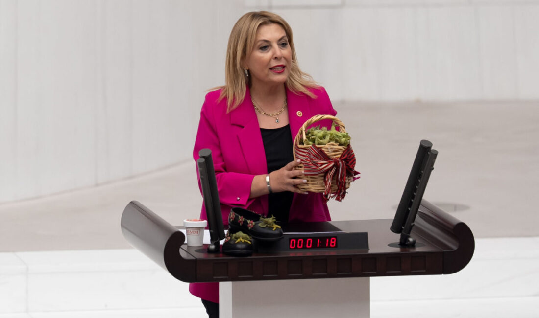 TBMM (AA) – TBMM Genel Kurulu'nda Yeni Parti, DEM Parti,