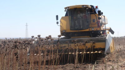 TEKİRDAĞ (AA) – Tekirdağ İl Tarım ve Orman Müdürlüğünce, iklim