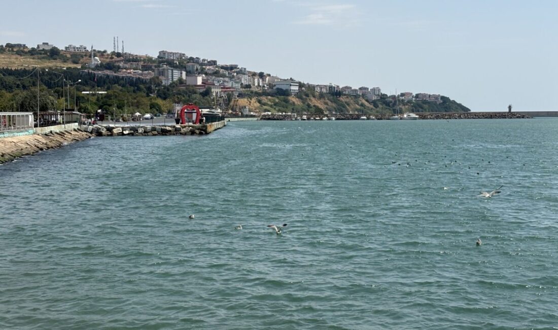 TEKİRDAĞ (AA) – Tekirdağ'da 2 gündür etkili olan poyrazın etkisini