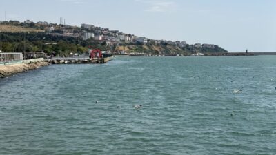 TEKİRDAĞ (AA) – Tekirdağ'da 2 gündür etkili olan poyrazın etkisini