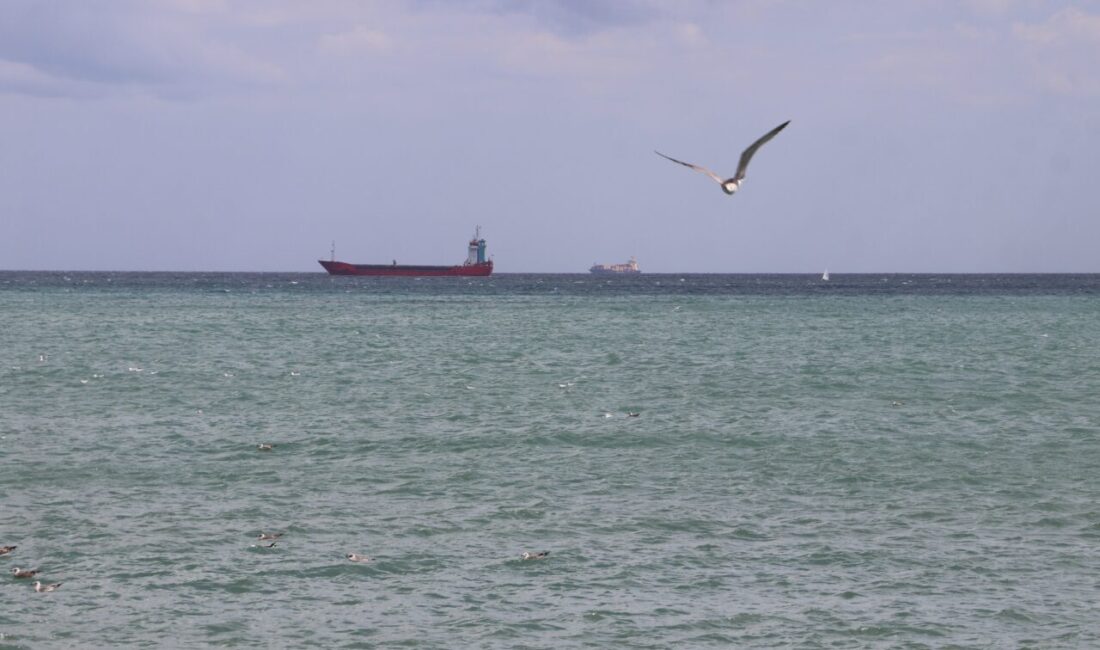 TEKİRDAĞ (AA) – Marmara Denizi'nde 2 gündür etkili olan poyraz,