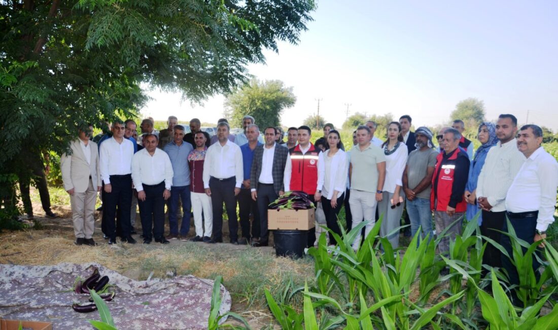 ŞANLIURFA (AA) – Şanlıurfa'nın Birecik ilçesinde coğrafi işaret belgesiyle tescillenen