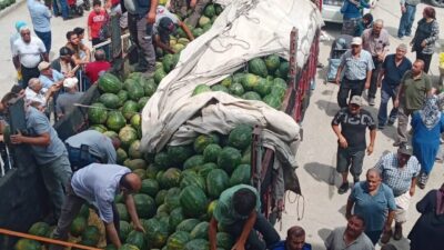 TOKAT (AA) – Tokat'ın Zile ilçesinde bir üretici, tır dolusu