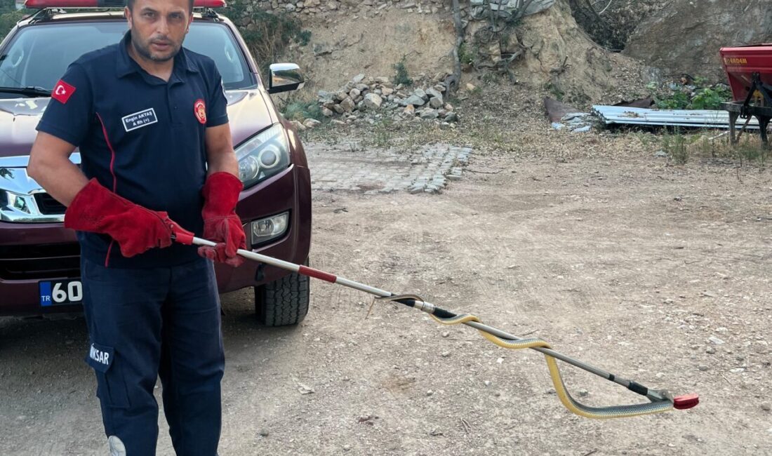 TOKAT (AA) – Tokat'ın Niksar ilçesinde bir evin içerisine giren