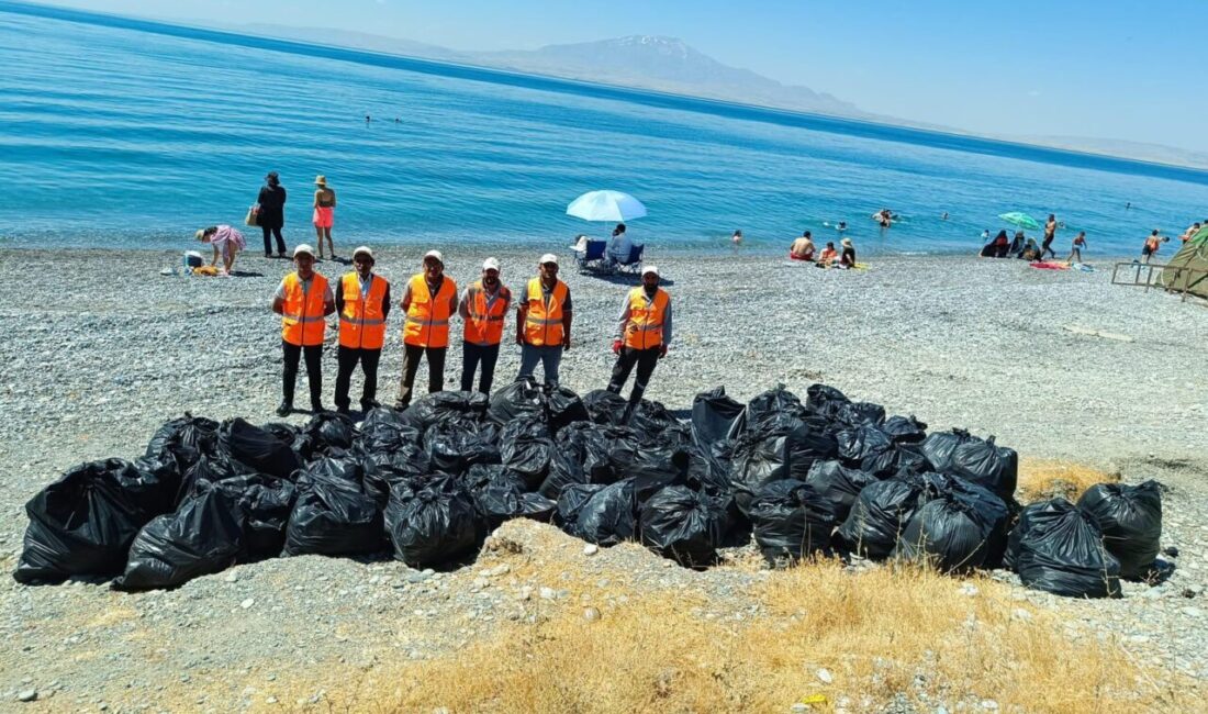 VAN (AA) – Van Büyükşehir Belediyesi ekipleri, Van Gölü kıyılarında