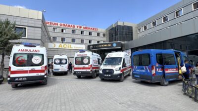 VAN (AA) – Van'ın Tuşba ilçesinde serinlemek için göle giren