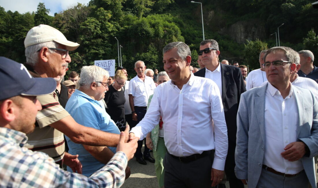 - "Yeni Partinin bütün üyeleri genel başkanı bizzat seçecek"