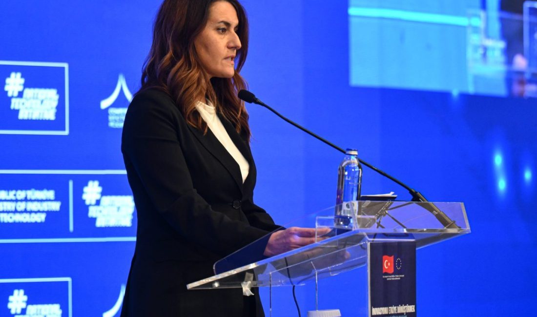 ANKARA (AA) – Sanayi ve Teknoloji Bakanlığı ile Avrupa Birliği'nin