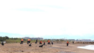 ANTALYA (AA) – Antalya'nın Aksu ilçesinde caretta carettaların yuvalama alanlarından