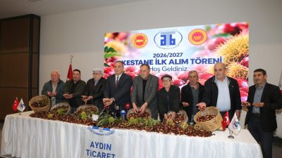 AYDIN (AA) – Türkiye'nin önemli kestane üretim merkezlerinden Aydın'da, sezonun