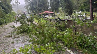 BARTIN (AA) – Bartın'da sağanak ve fırtına günlük yaşamı olumsuz