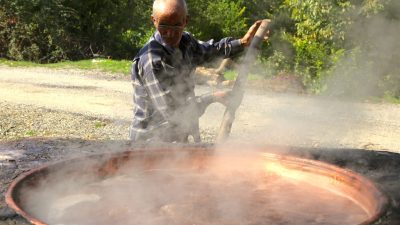 BİTLİS (AA) – Bitlis'in Hizan ilçesinde bağlardan hasat edilen üzümler,