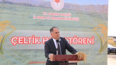 ÇANKIRI (AA) – Türkiye'nin önemli pirinç üretim merkezlerinden Çankırı'nın Kızılırmak