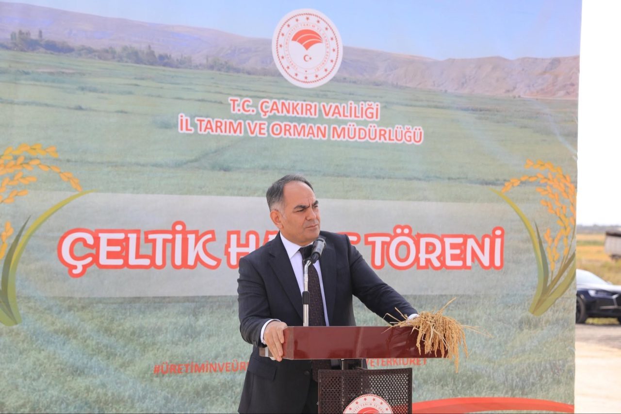 ÇANKIRI (AA) – Türkiye'nin önemli pirinç üretim merkezlerinden Çankırı'nın Kızılırmak